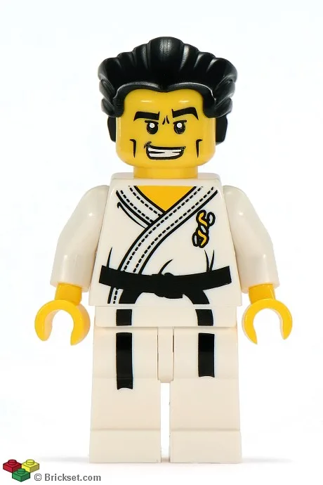 Karate-Meister, Serie 2 (Nur Minifigur, ohne Ständer und Zubehör)