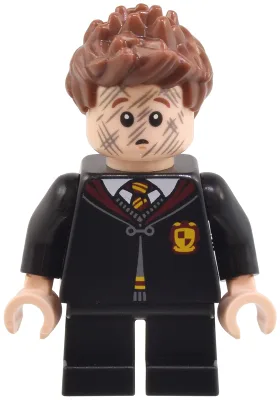 Seamus Finnigan - Gryffindor Robe Clasped, Black Short Legs