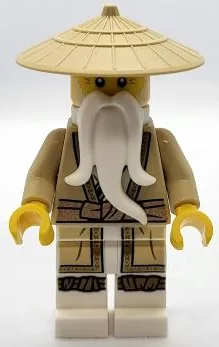 Wu Sensei - Legacy, Tan Robe, Braided Ponytail