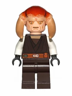 Saesee Tiin - Dark Brown Robe, White Arms, Large Eyes