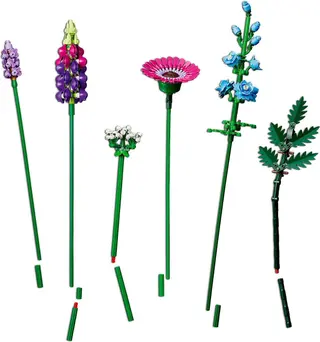 Wildblumenstrauß