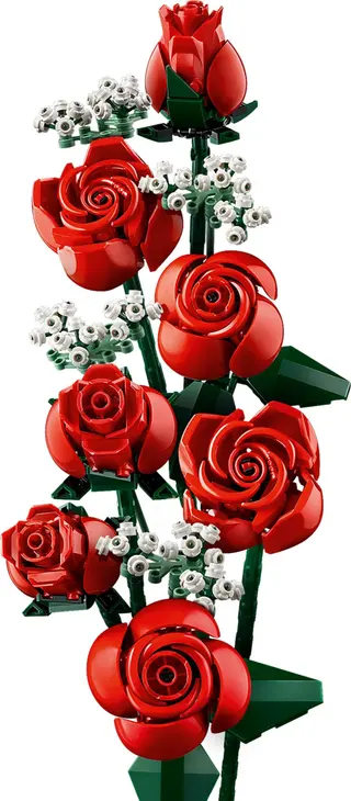 Bouquet de roses