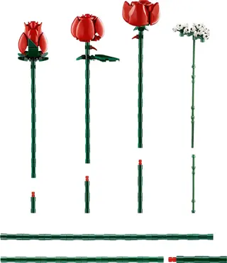 Bouquet de roses