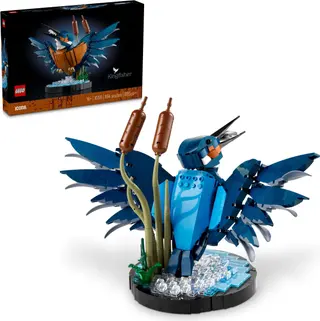 Ijsvogel