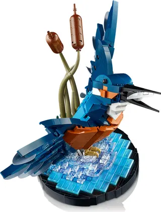 Ijsvogel