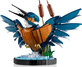 Ijsvogel