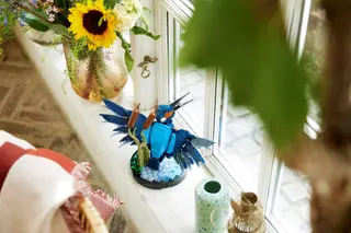 Ijsvogel