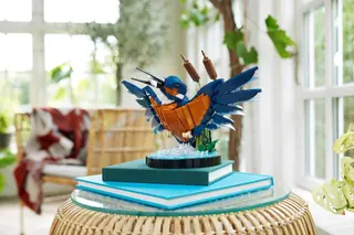 Ijsvogel