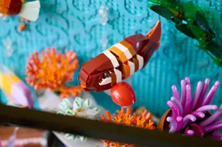 Aquarium tropical