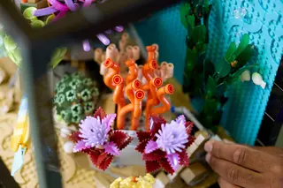 Aquarium tropical