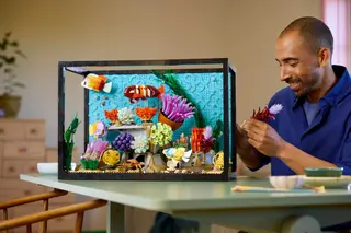 Aquarium tropical