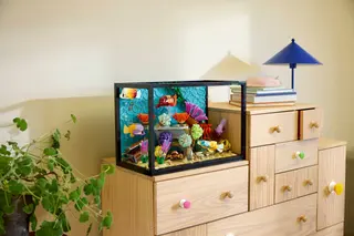 Aquarium tropical