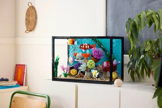 Aquarium tropical
