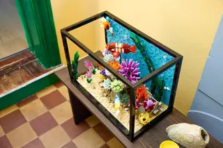 Aquarium tropical