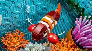 Aquarium tropical