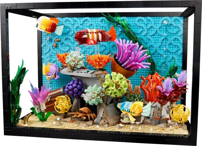 Aquarium tropical