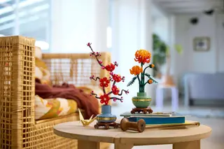Chrysantheme