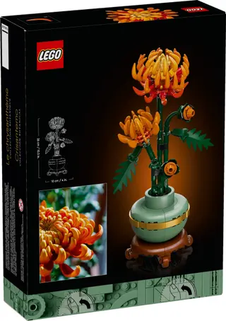 Chrysantheme