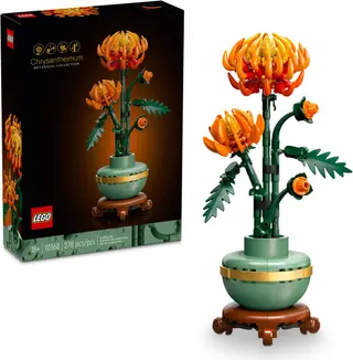 Chrysantheme