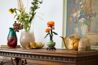 Chrysantheme