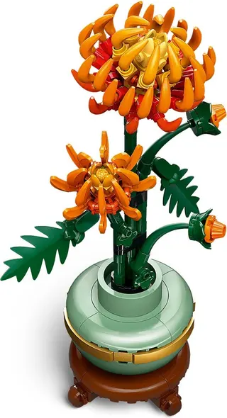Chrysantheme