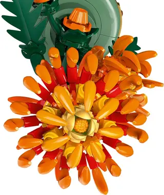 Chrysantheme