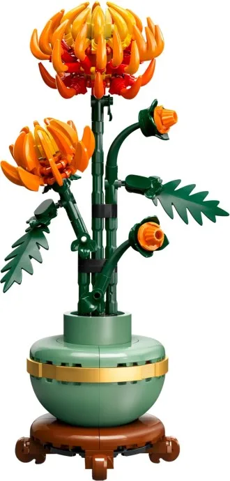 Chrysantheme