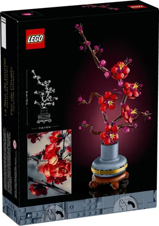 Pflaumenblüte
