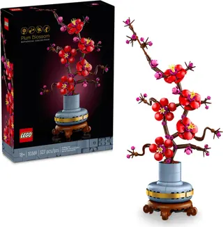Pflaumenblüte