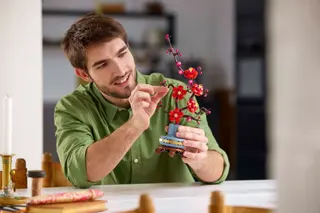 Pflaumenblüte