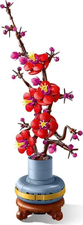 Pflaumenblüte