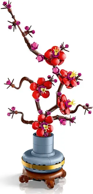 Pflaumenblüte
