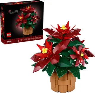 Kerstster