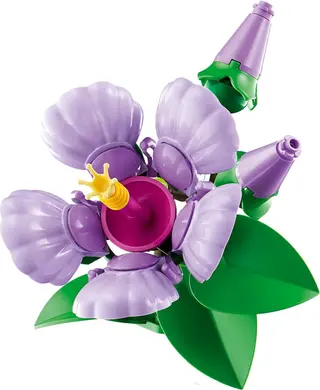 Hibiscus