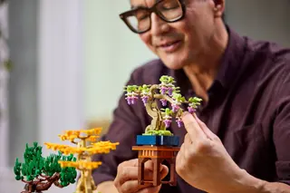 Mini bonsaïs