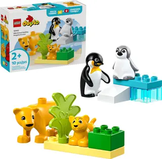 Wildtierfamilien: Pinguine & Löwen