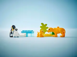 Wildtierfamilien: Pinguine & Löwen