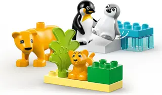 Wildtierfamilien: Pinguine & Löwen