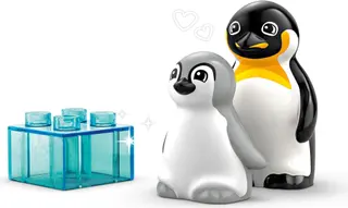 Wildtierfamilien: Pinguine & Löwen