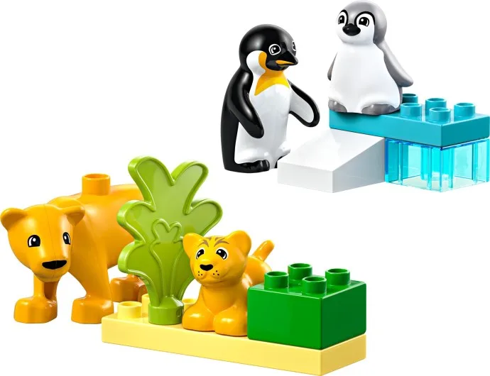 Wildtierfamilien: Pinguine & Löwen