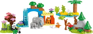3 Wildtierfamilien in einem
