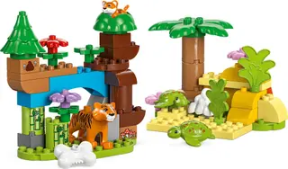 3 Wildtierfamilien in einem