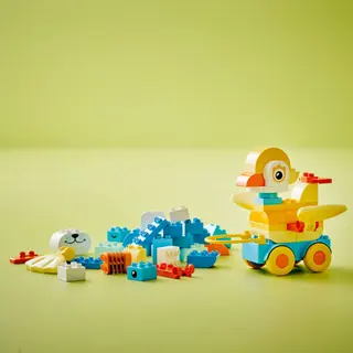 3in1 Animals on Wheels