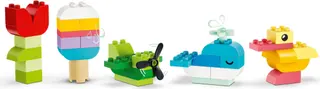 Colourful Creative Box