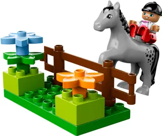Horse Stable