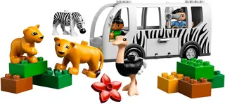 Zoo Bus