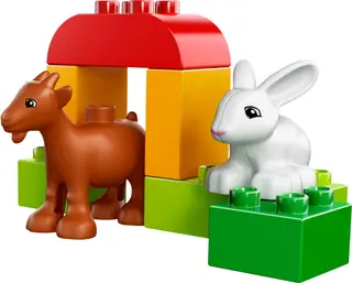 Farm Animals