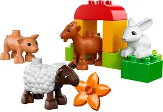 Farm Animals