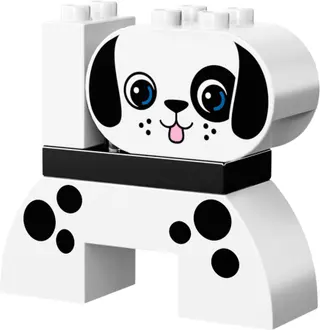 Creative Animals