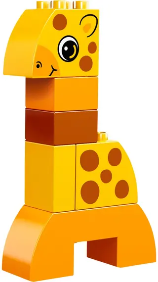 Creative Animals